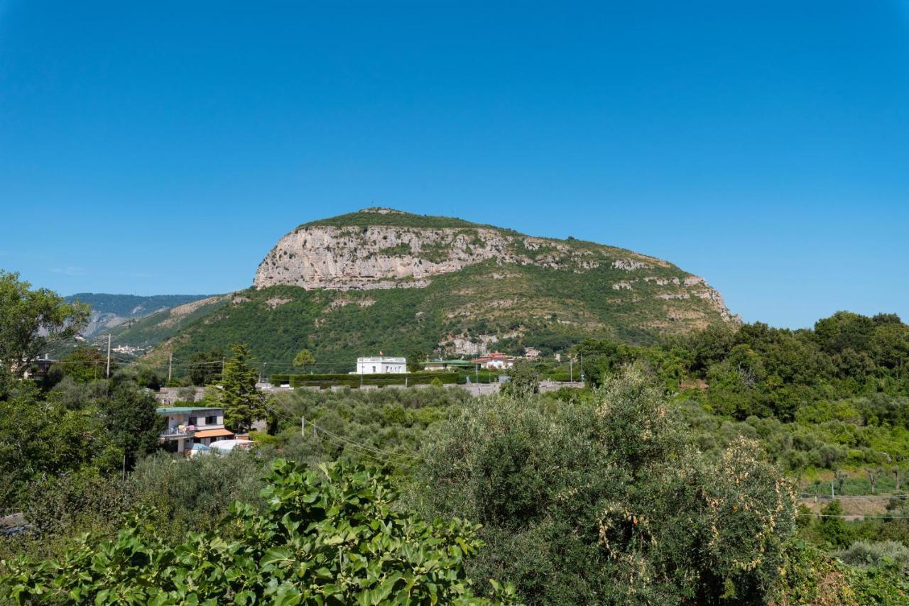 Villa Anna - De Vivo Realty Piano Di Sorrento Piano di Sorrento Exterior foto